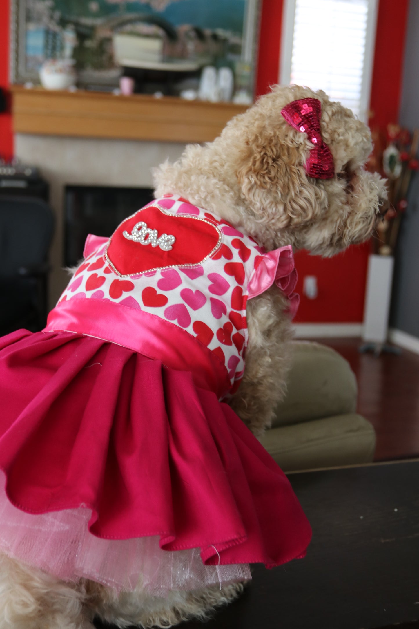 Valentine Dog Dress