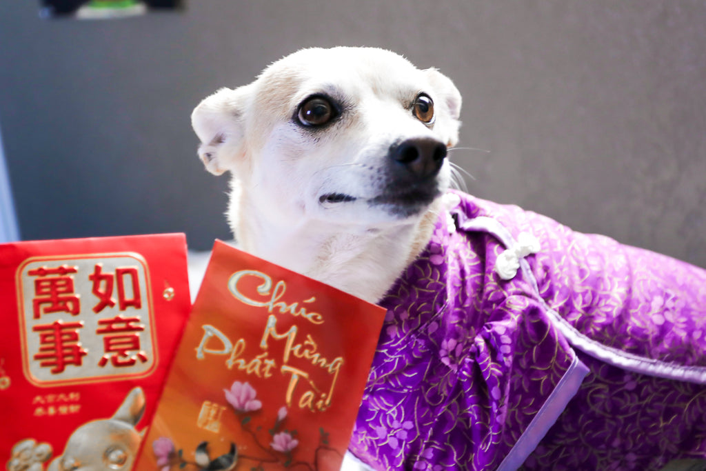 Purple Floral Ao Dai Dog Dress