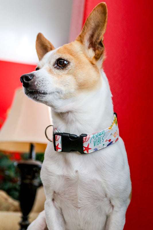 Beach Vibes Dog Collar