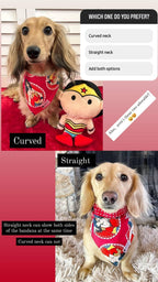 Christmas Gnomes Dog Bandana