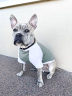 Green n white Dog PJ