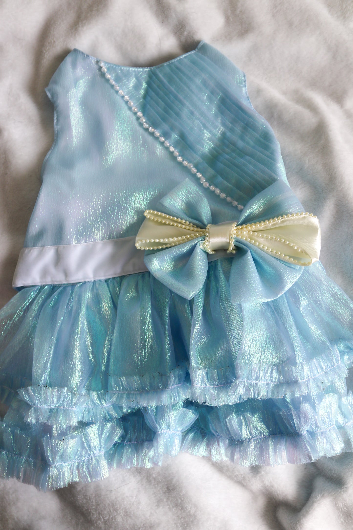 Cinderella Dog Dress