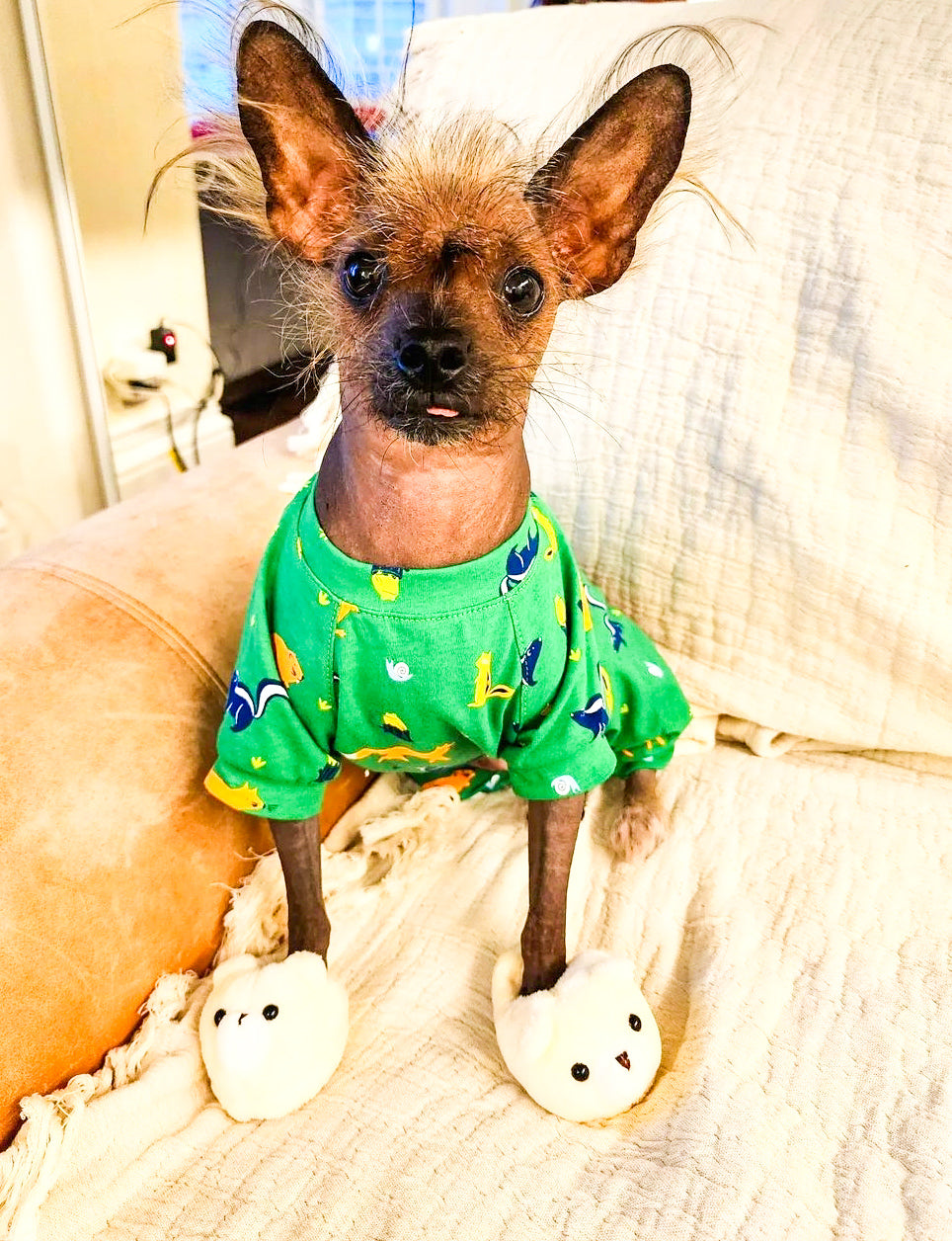 Nature Dog PJ