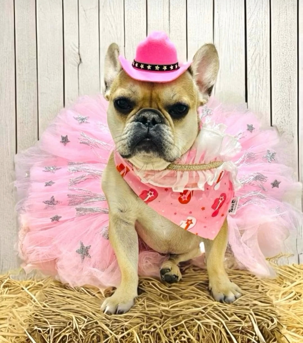 Western Gal Dog Bandana