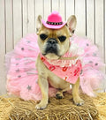 Western Gal Dog Bandana
