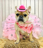 Western Gal Dog Bandana