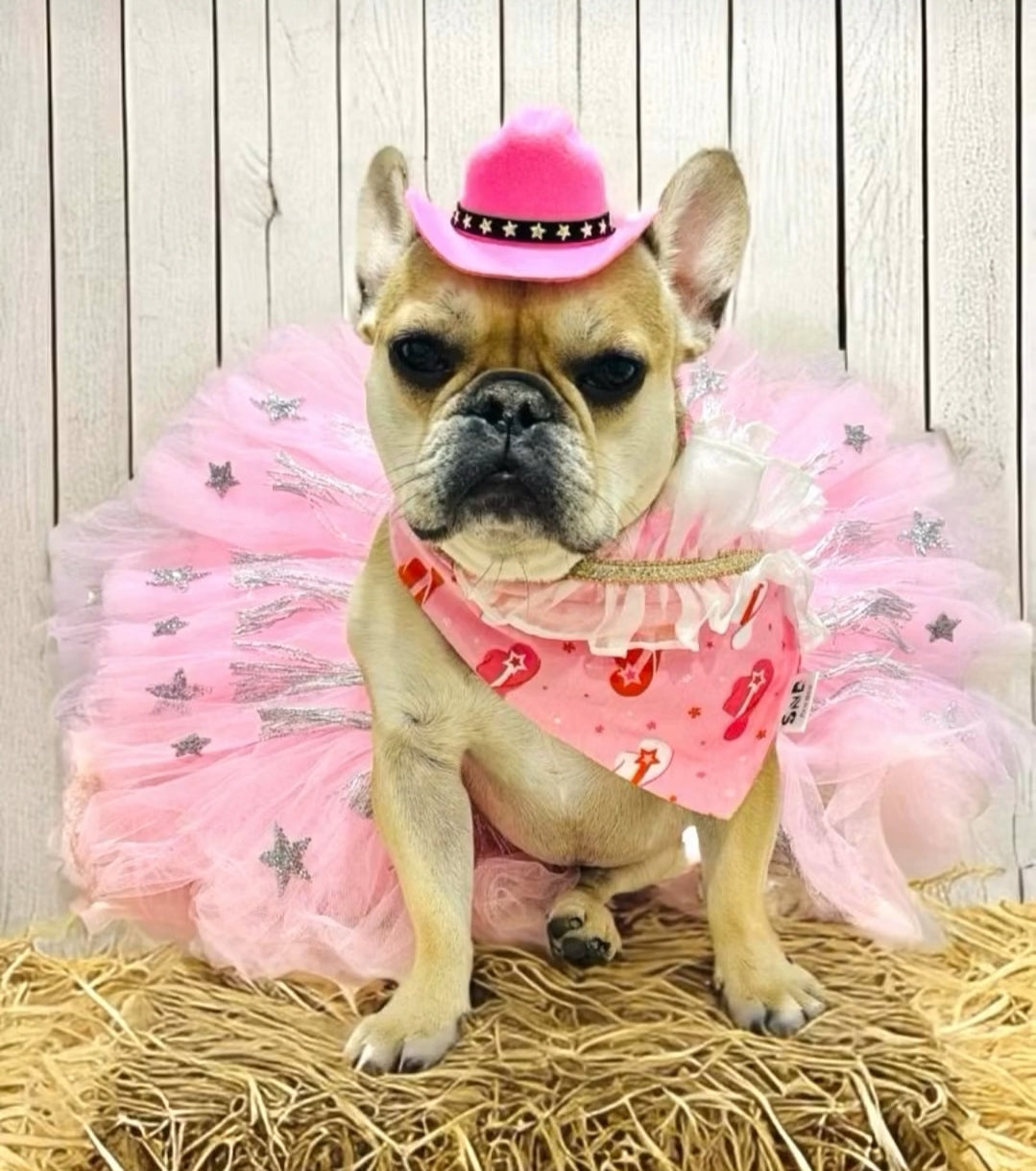 Western Gal Dog Bandana