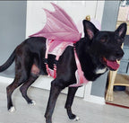 Dragon Wings Dog/Cat Costume for small to large dogs