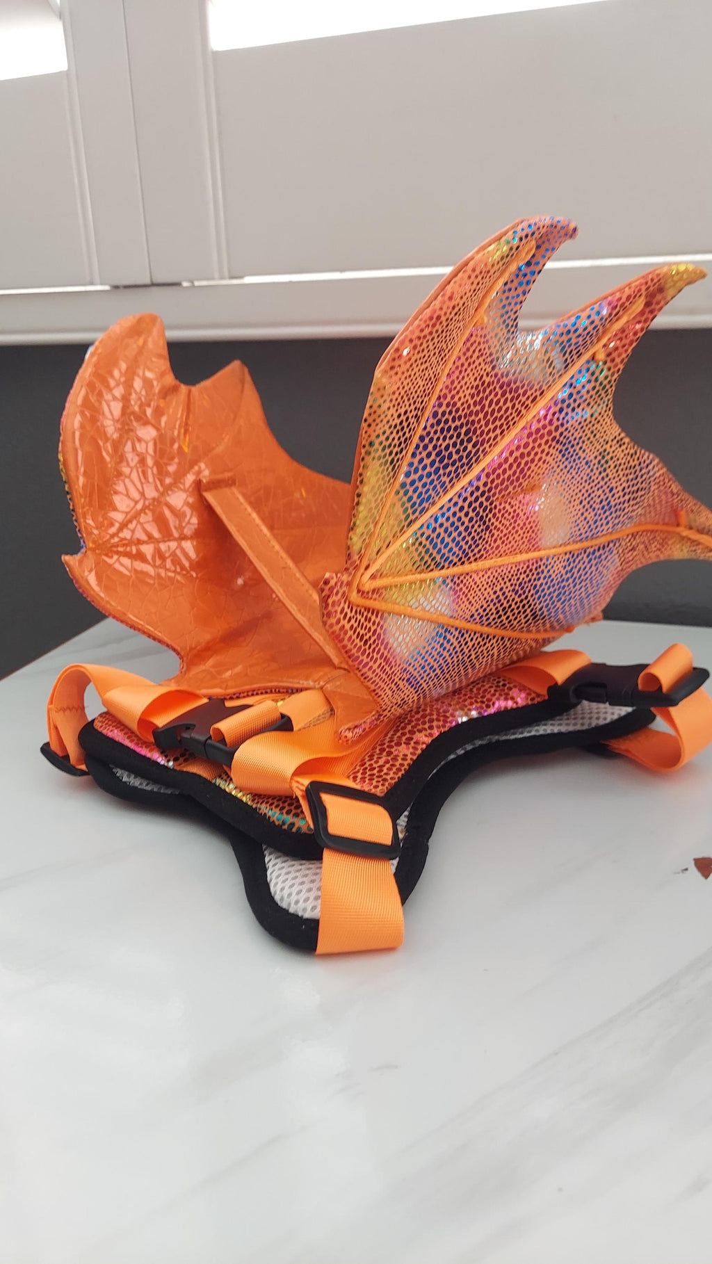 Dragon Wings Dog/Cat Costume for small to large dogs