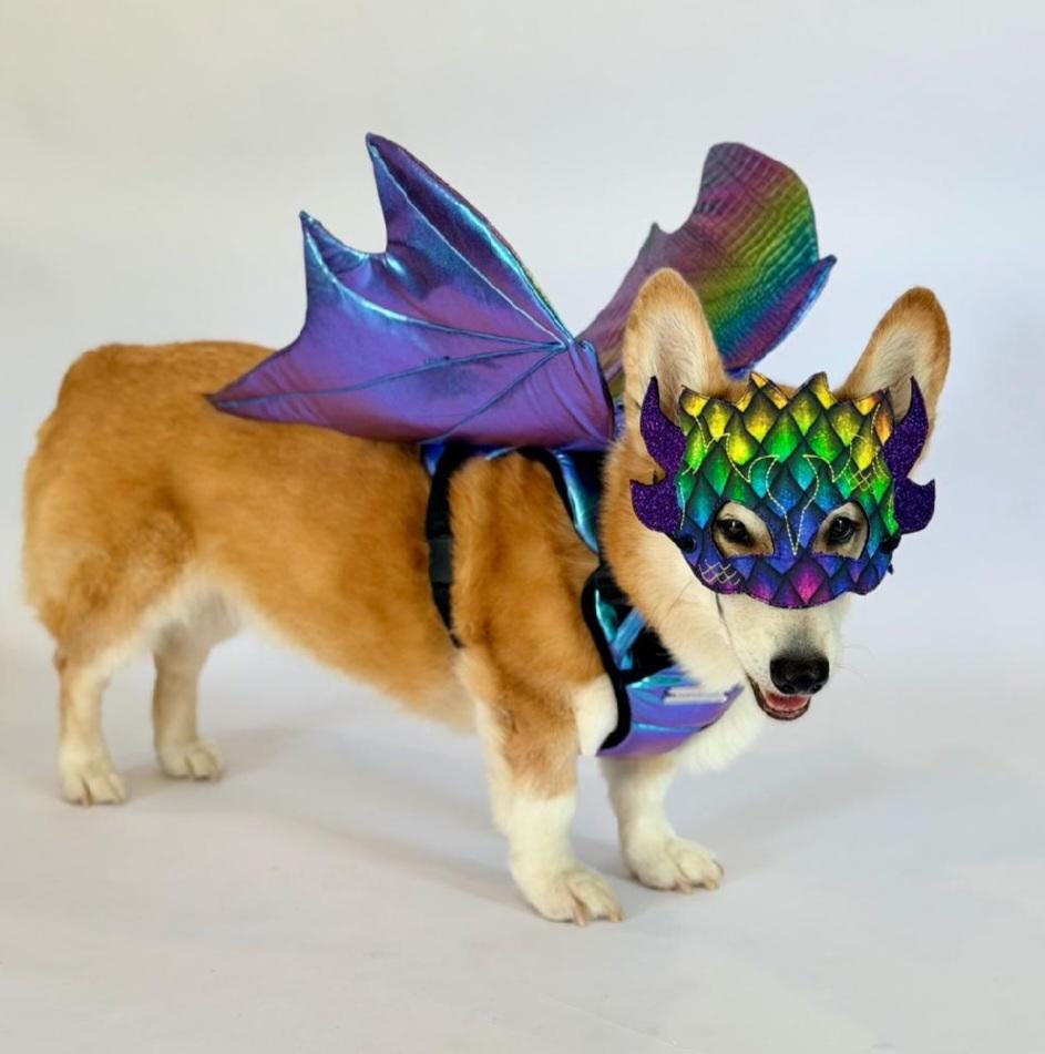 Dragon Wings Dog/Cat Costume for small to large dogs