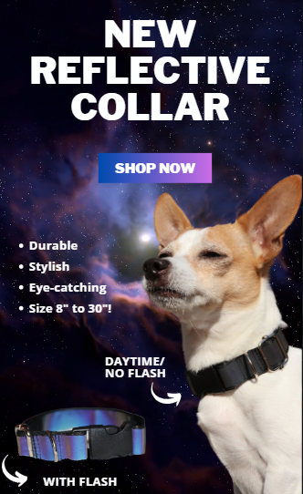 Reflective Dog Collar