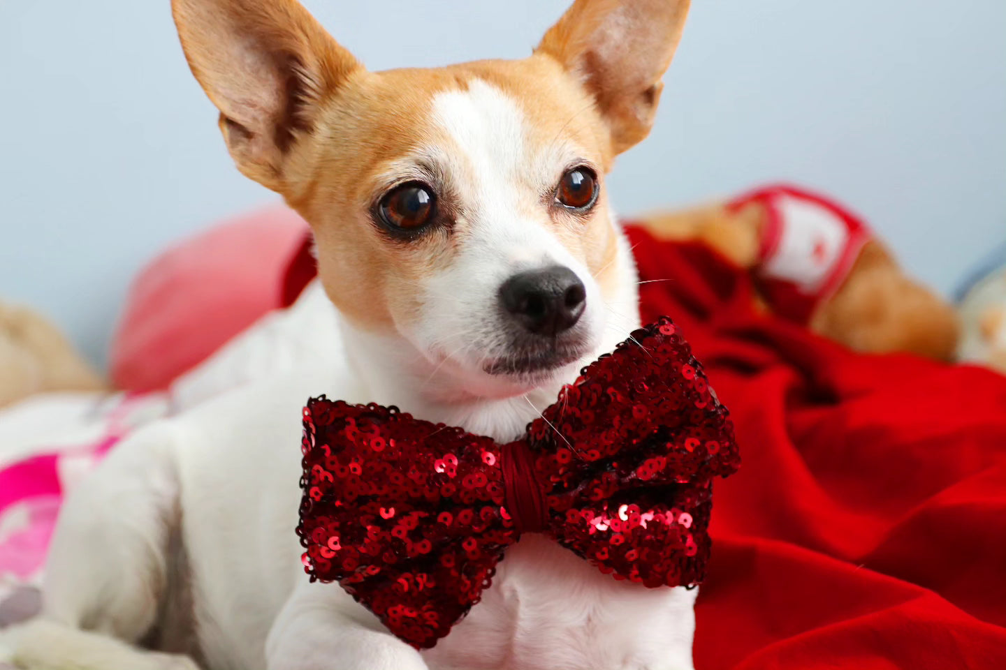 Velvet and Sequin Red Bows