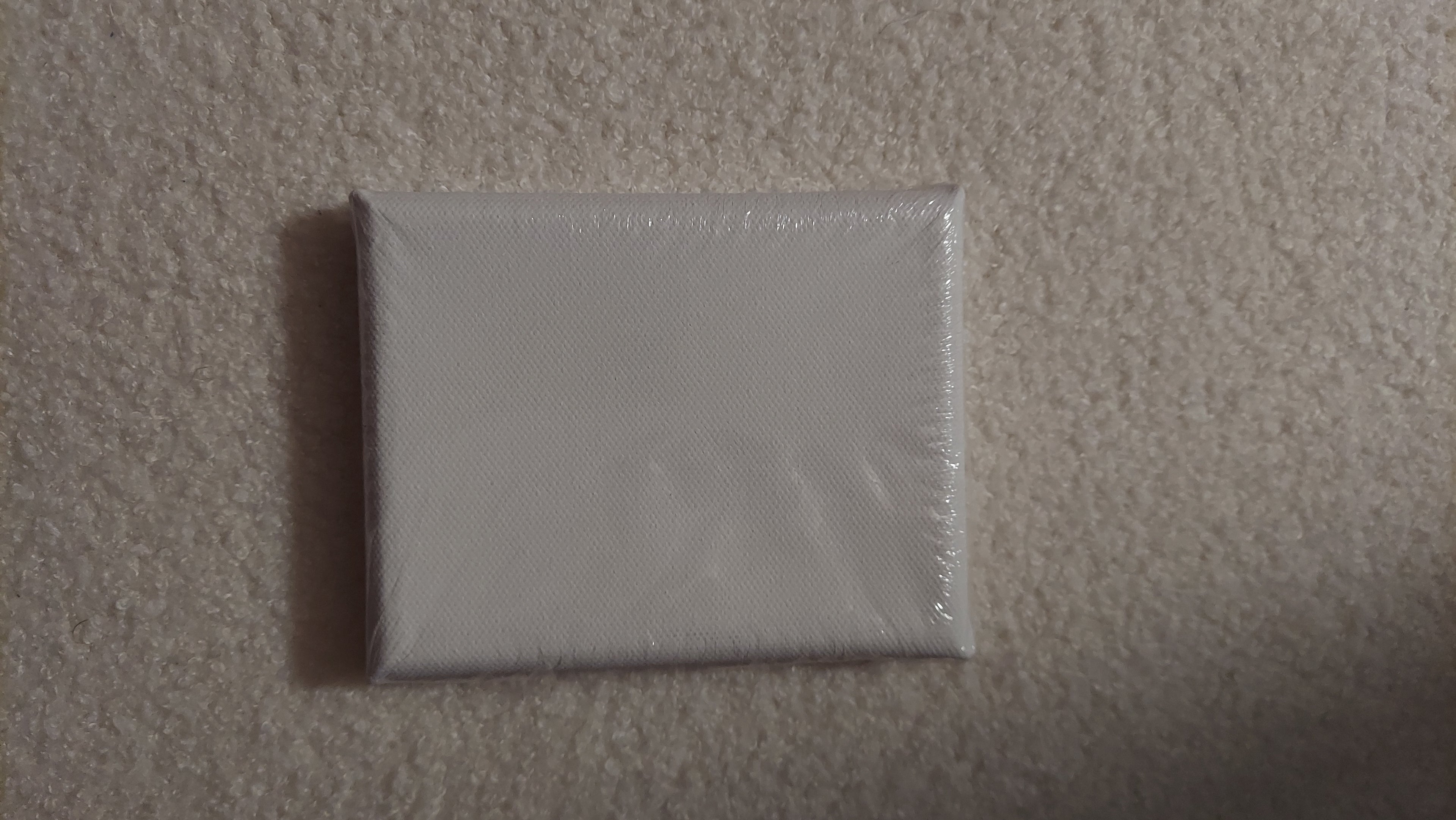 4x5" Mini Pet Painting Canvas