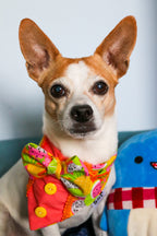 Fruit Frenzy Dog Bandana Tux