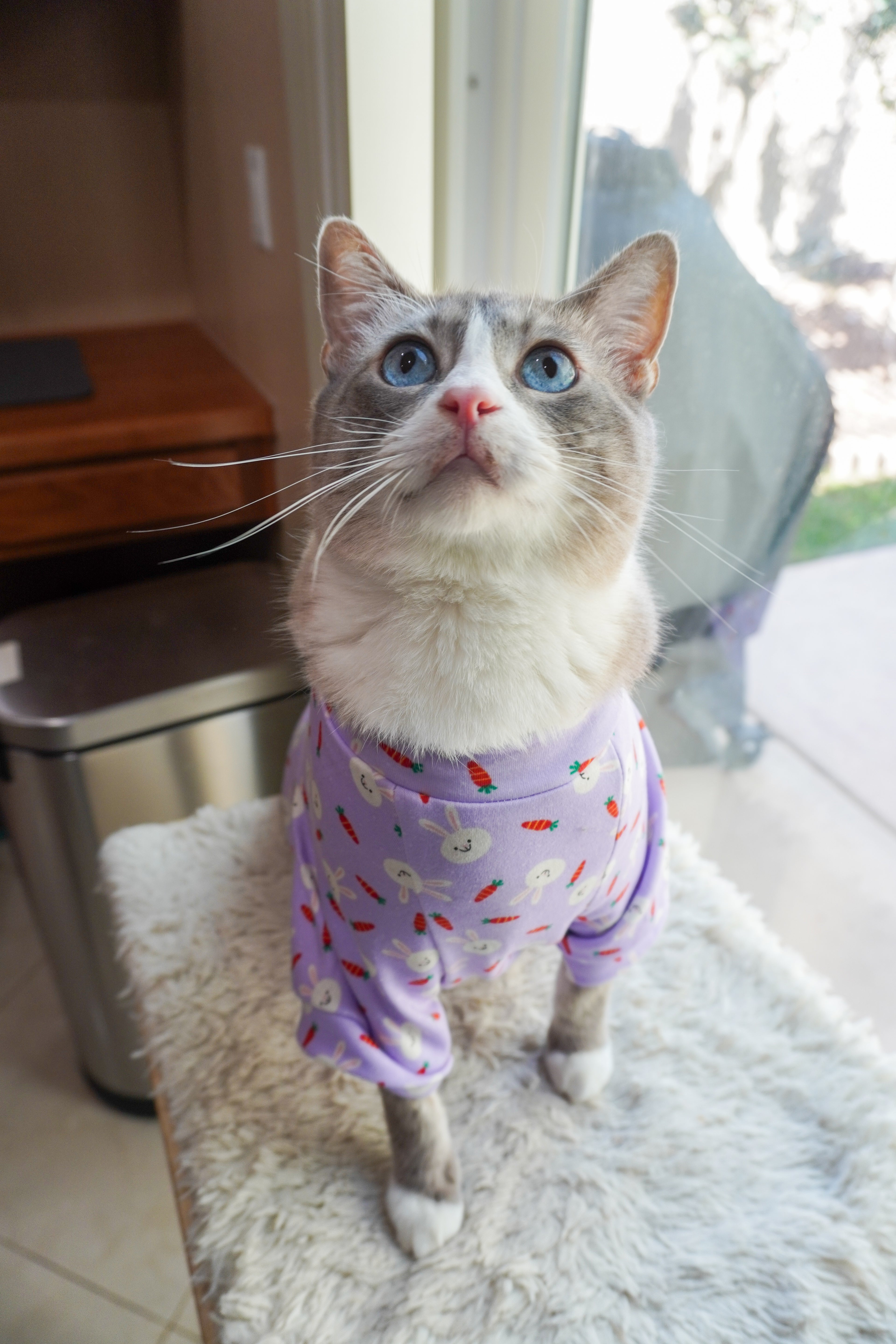 Easter Bunny Pet PJ