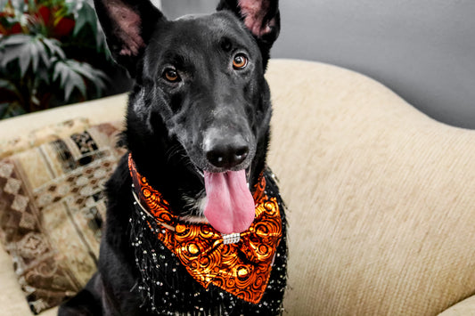 Pumpkin Elegance Dog Bandana