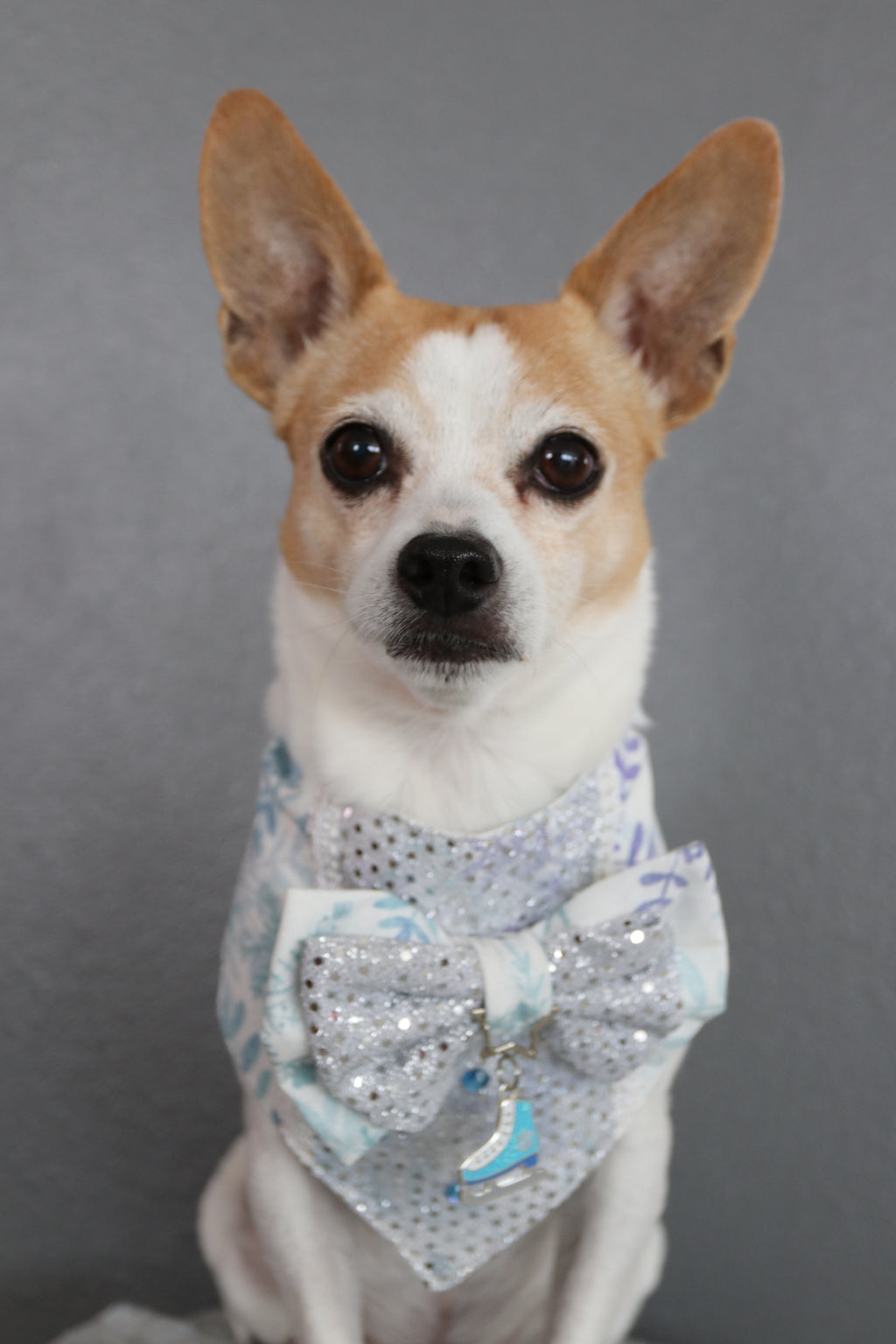 Winter Sparkle Dog Bandana