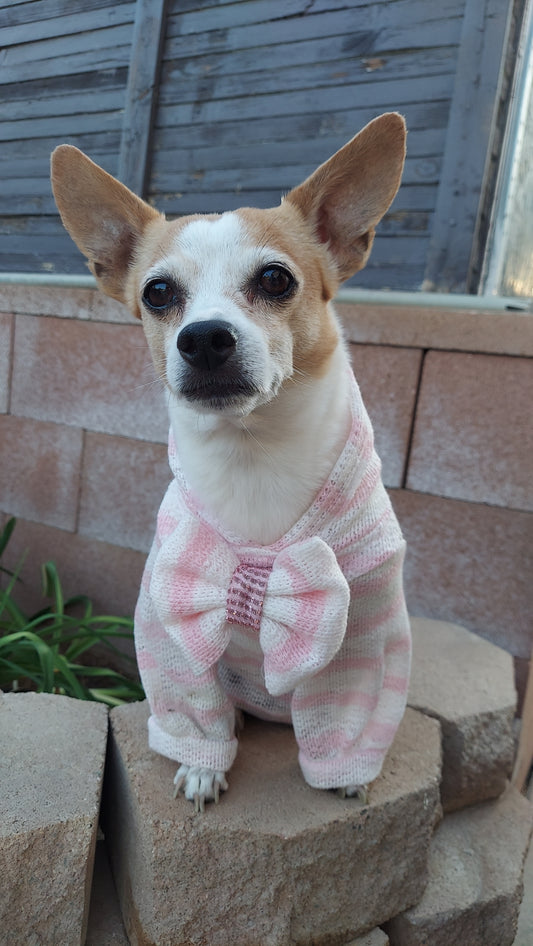 Cozy Pink/ Green Dog Hoodie