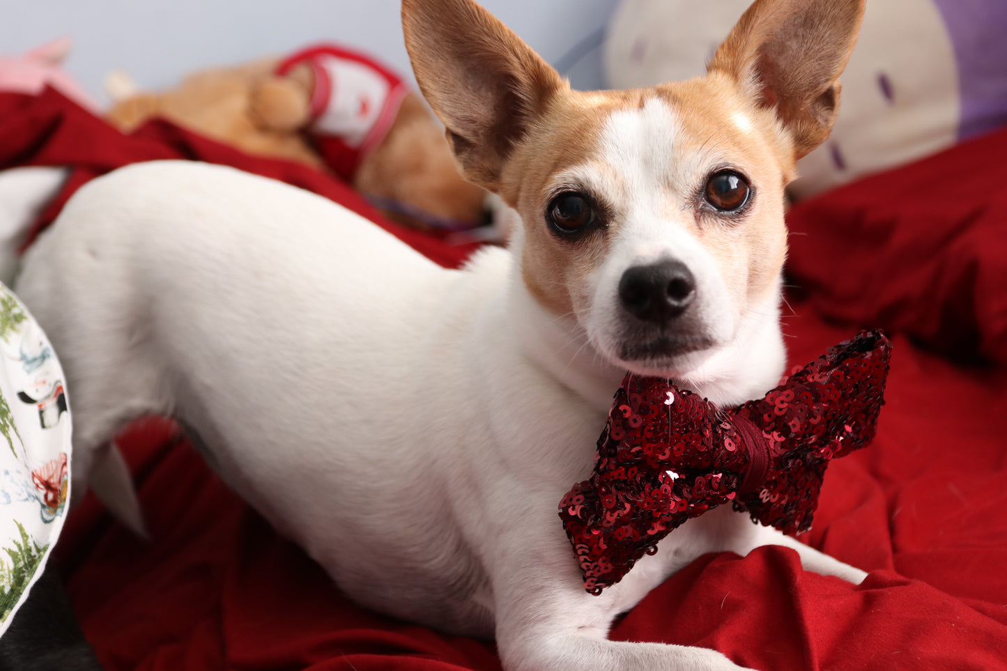 Velvet and Sequin Red Bows