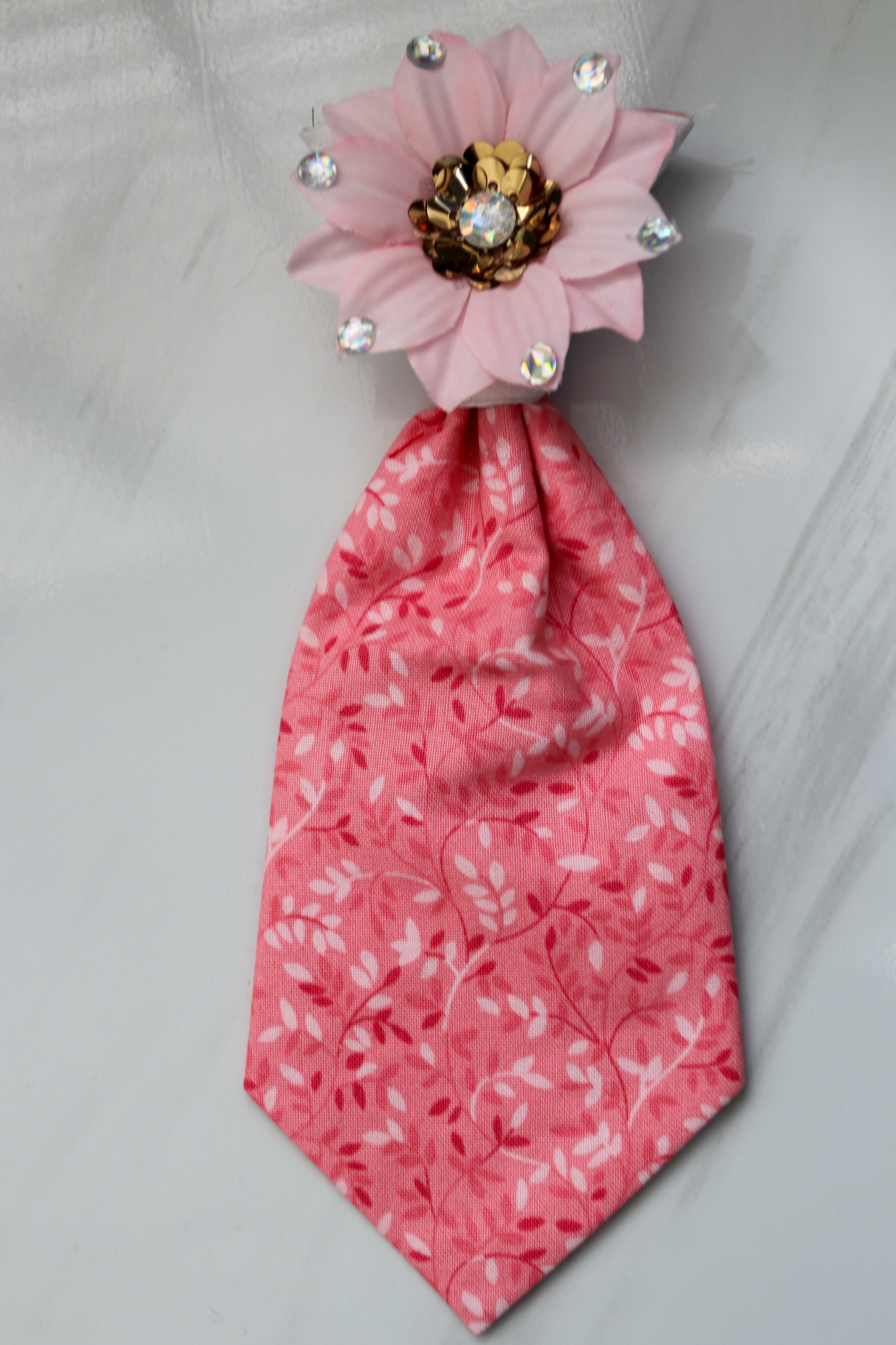 Specialty Pet Neck Ties