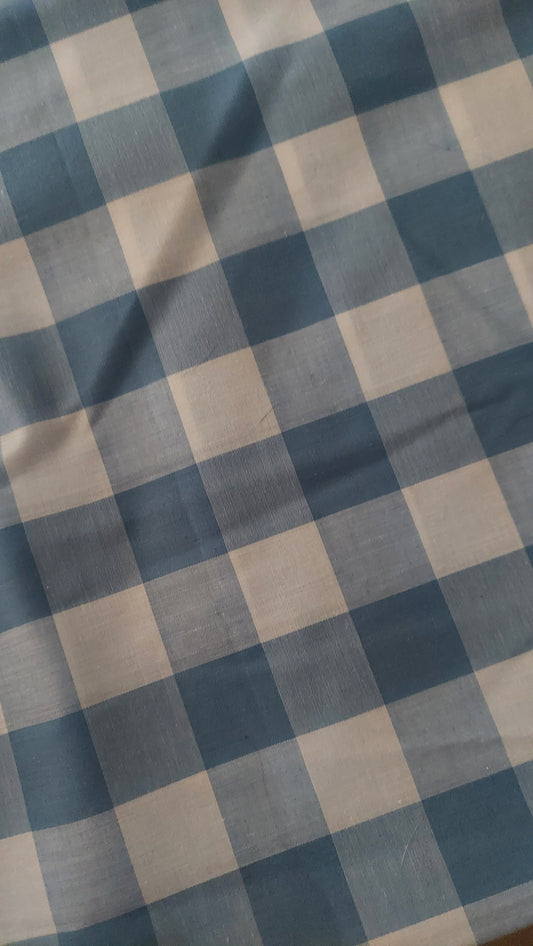 Blue plaid Dog Suit