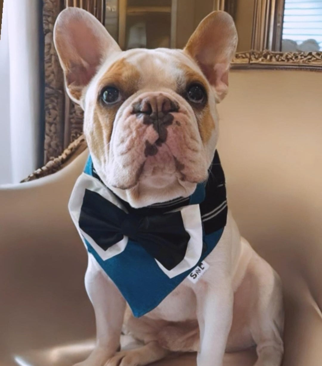 Preppy Blues Dog Bandana