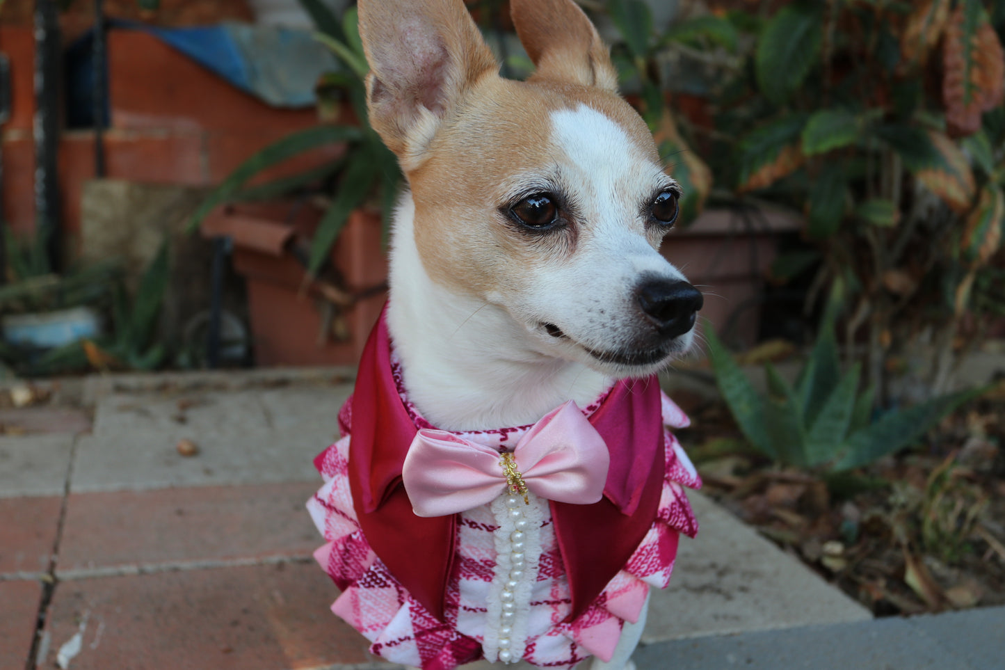 Elle Dog Bandana