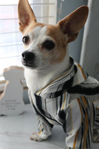 Multicolored Stripe Dog Hoodie
