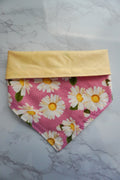 Pink Daises Dog Bandana