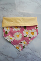 Pink Daises Dog Bandana
