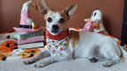 Fangs and stitches Dog Bandana