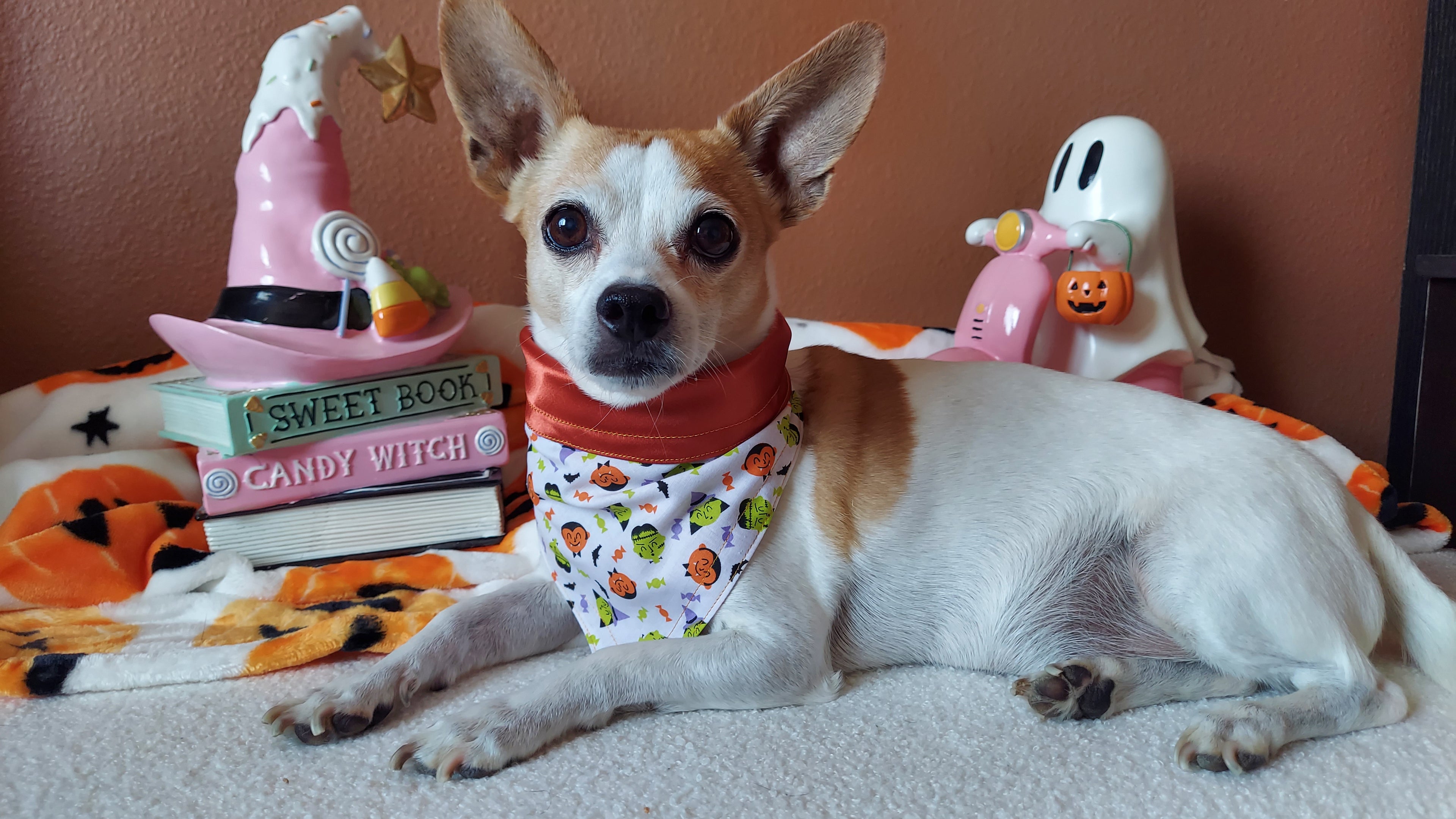 Fangs and stitches Dog Bandana