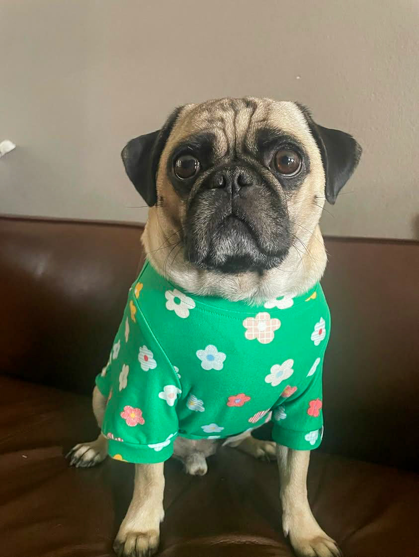 Spring is here Dog PJ