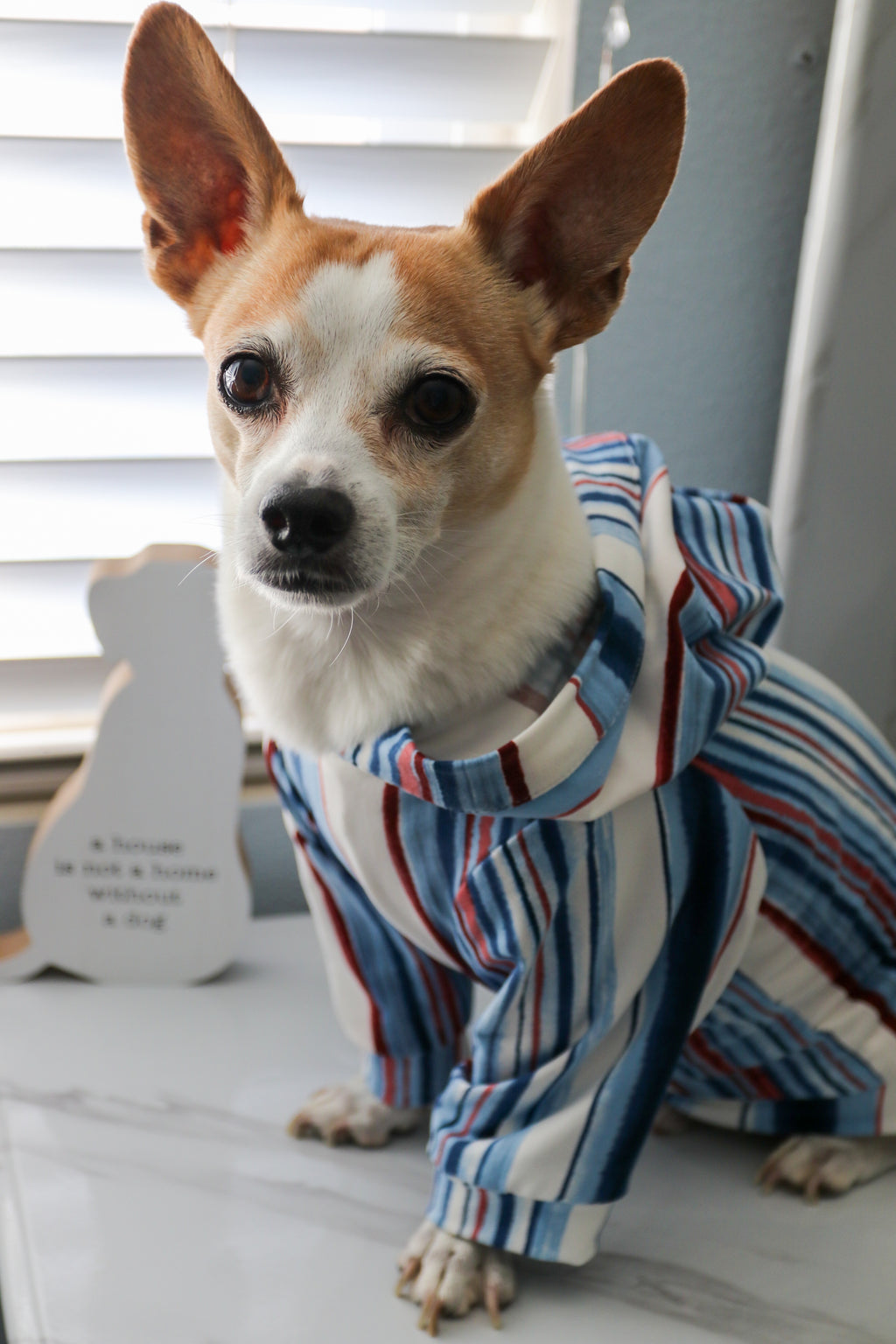Multicolored Stripe Dog Hoodie