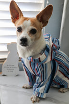 Multicolored Stripe Dog Hoodie