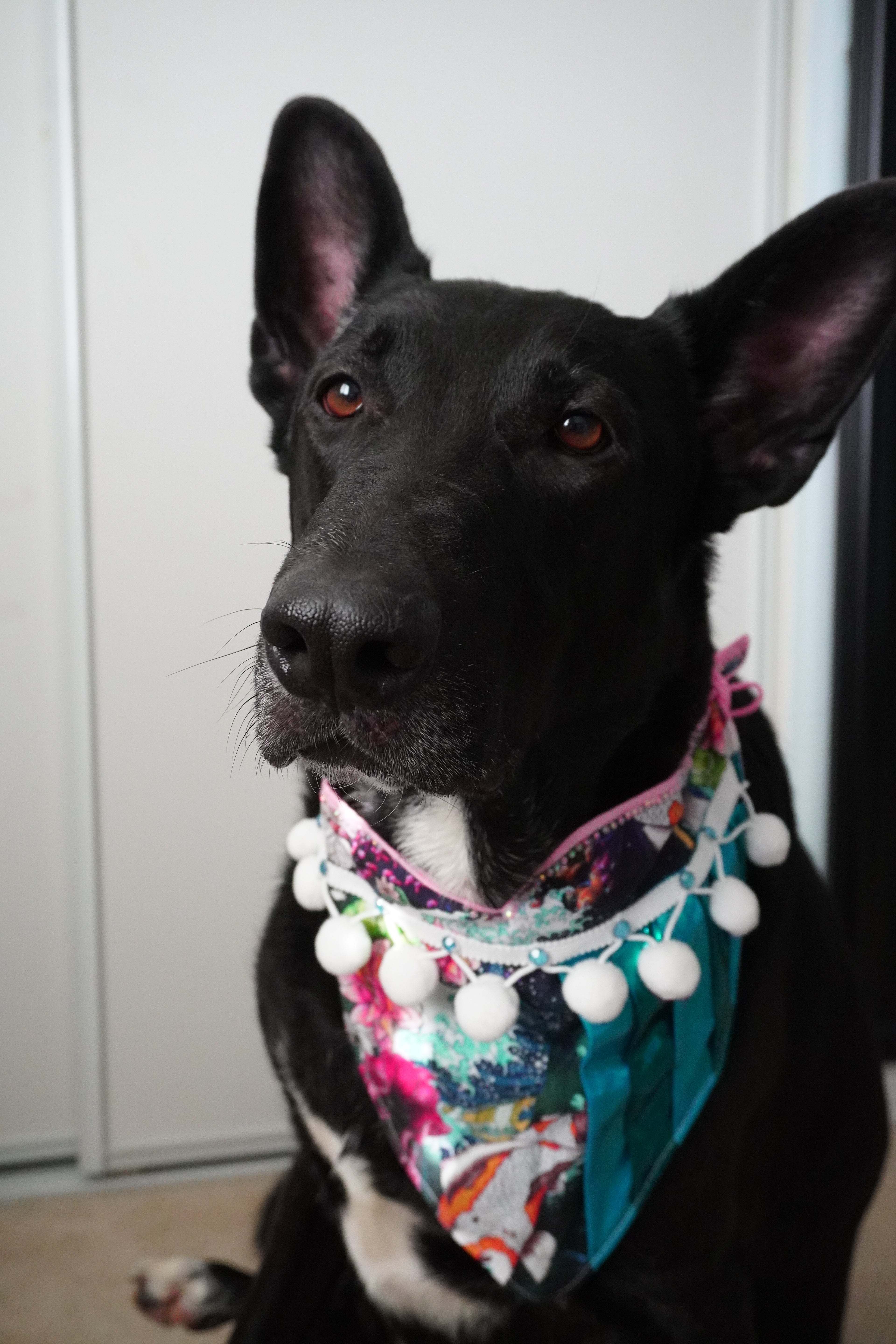 Flow of Fortune Lunar New Year Dog Bandana