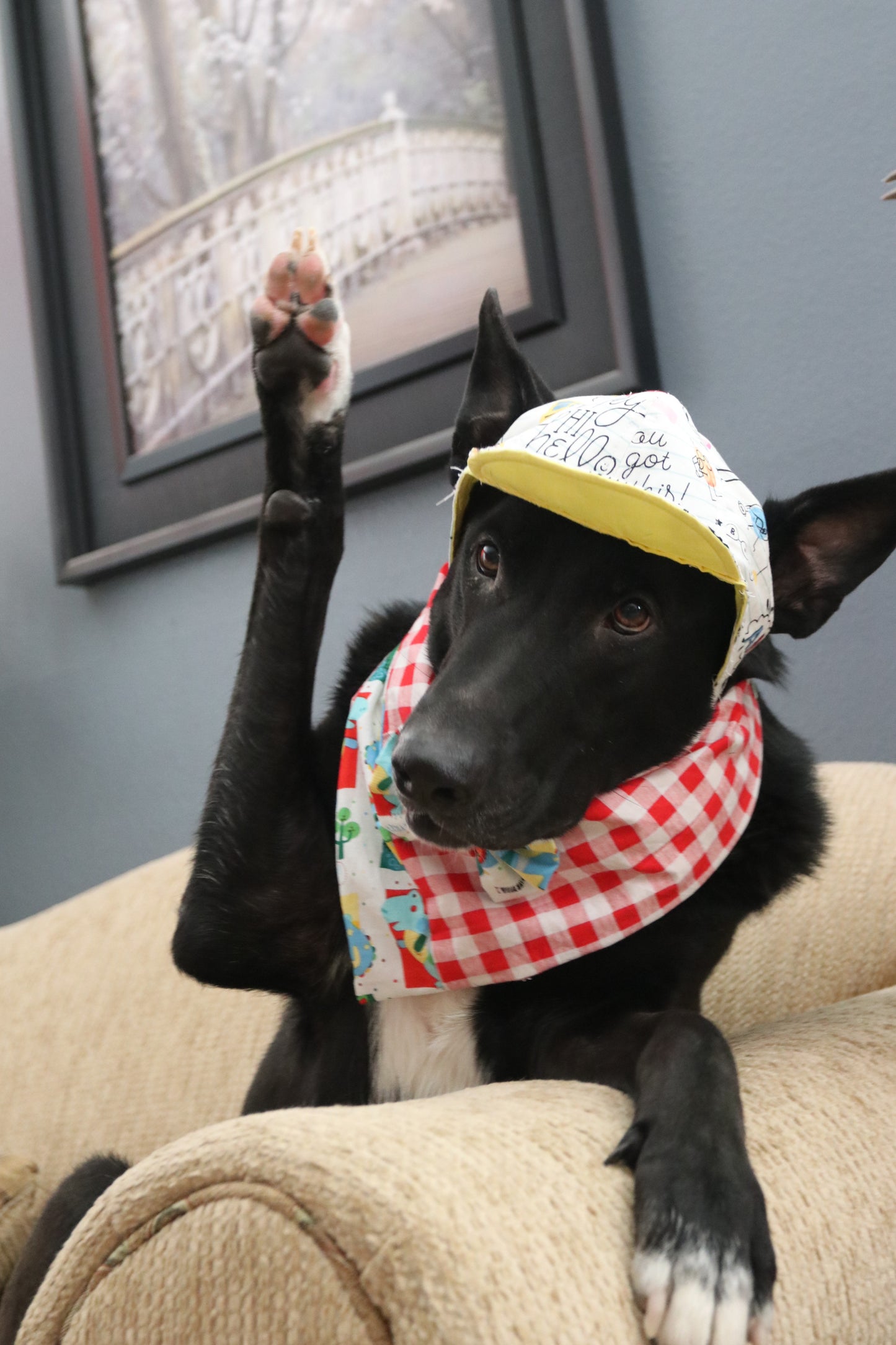 The Notebook Dog Cap