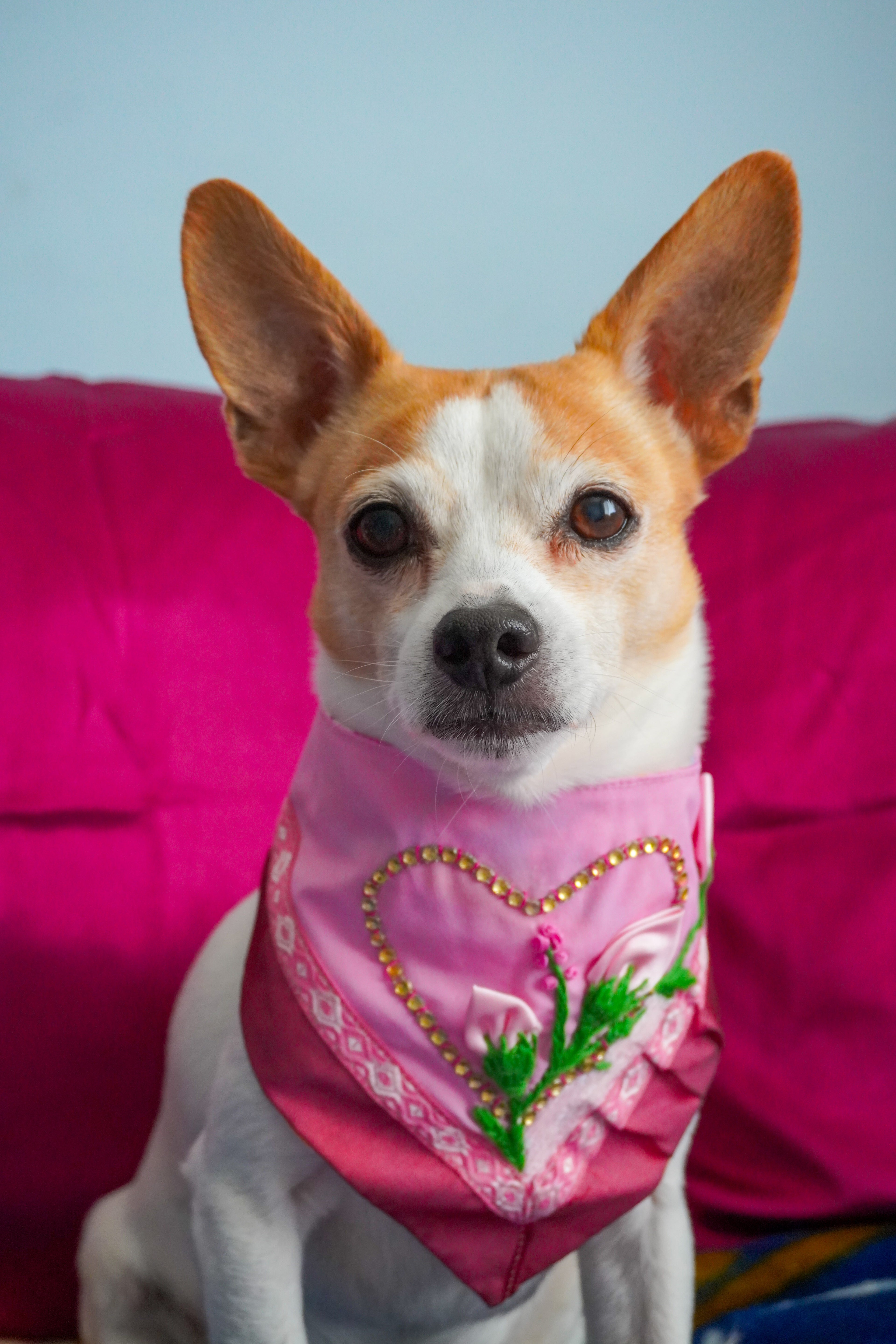 Blooming Garden Dog Bandana