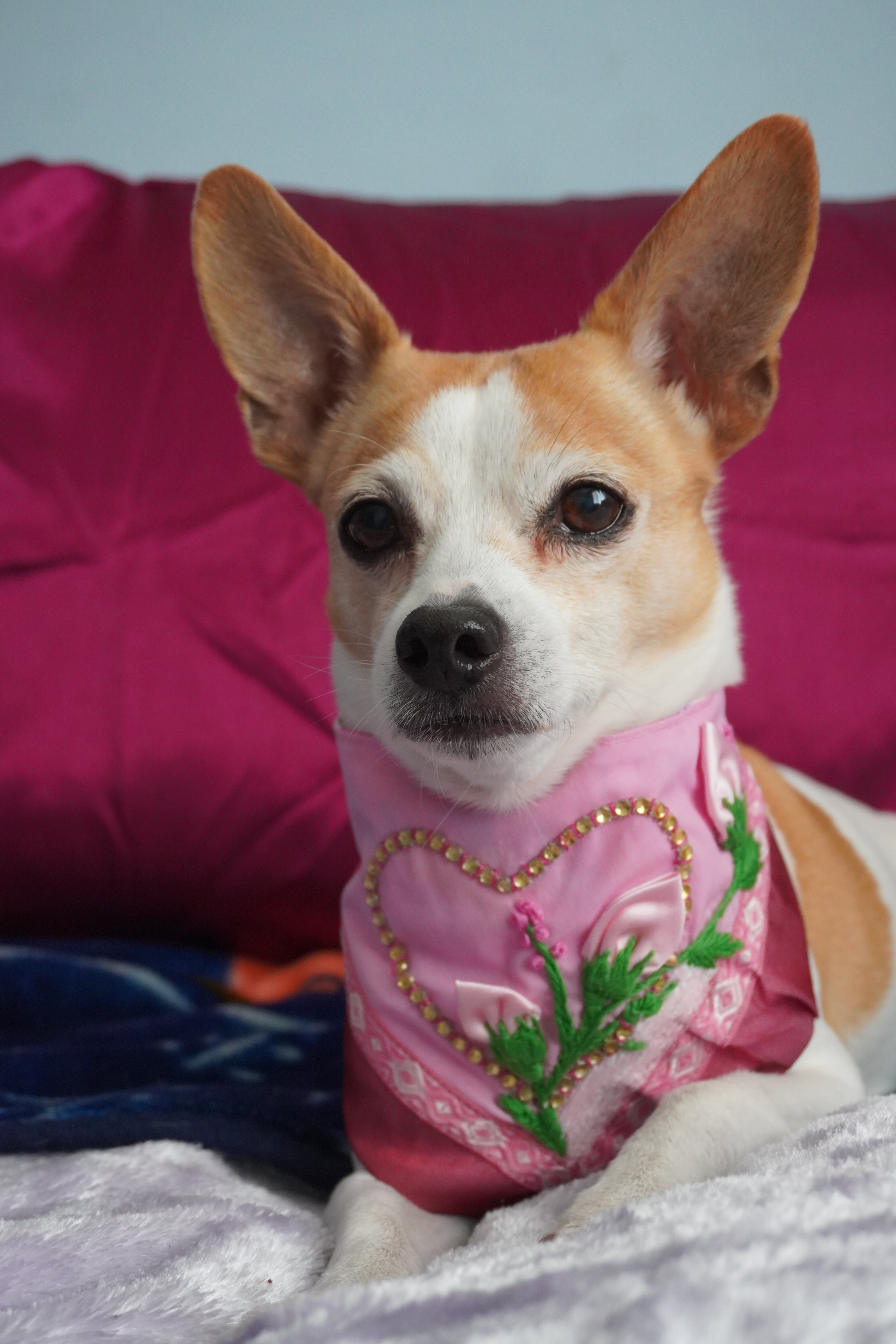 Blooming Garden Dog Bandana