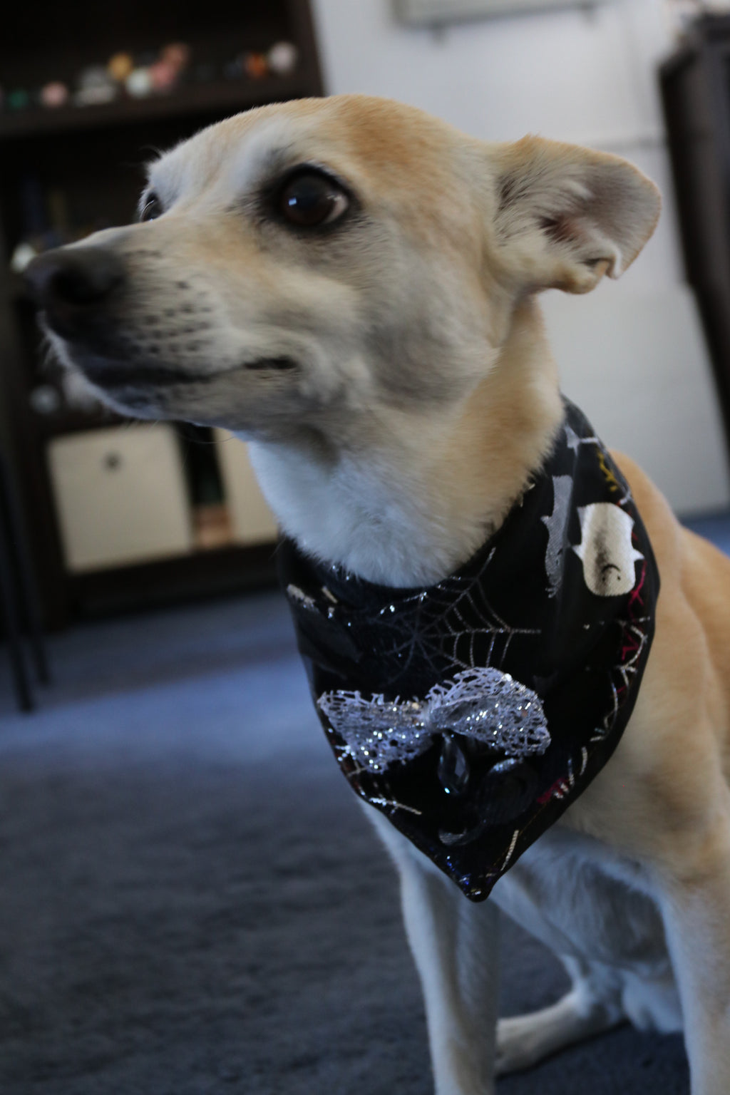 Neon Nightmares and Silvery Spirits Dog Bandana