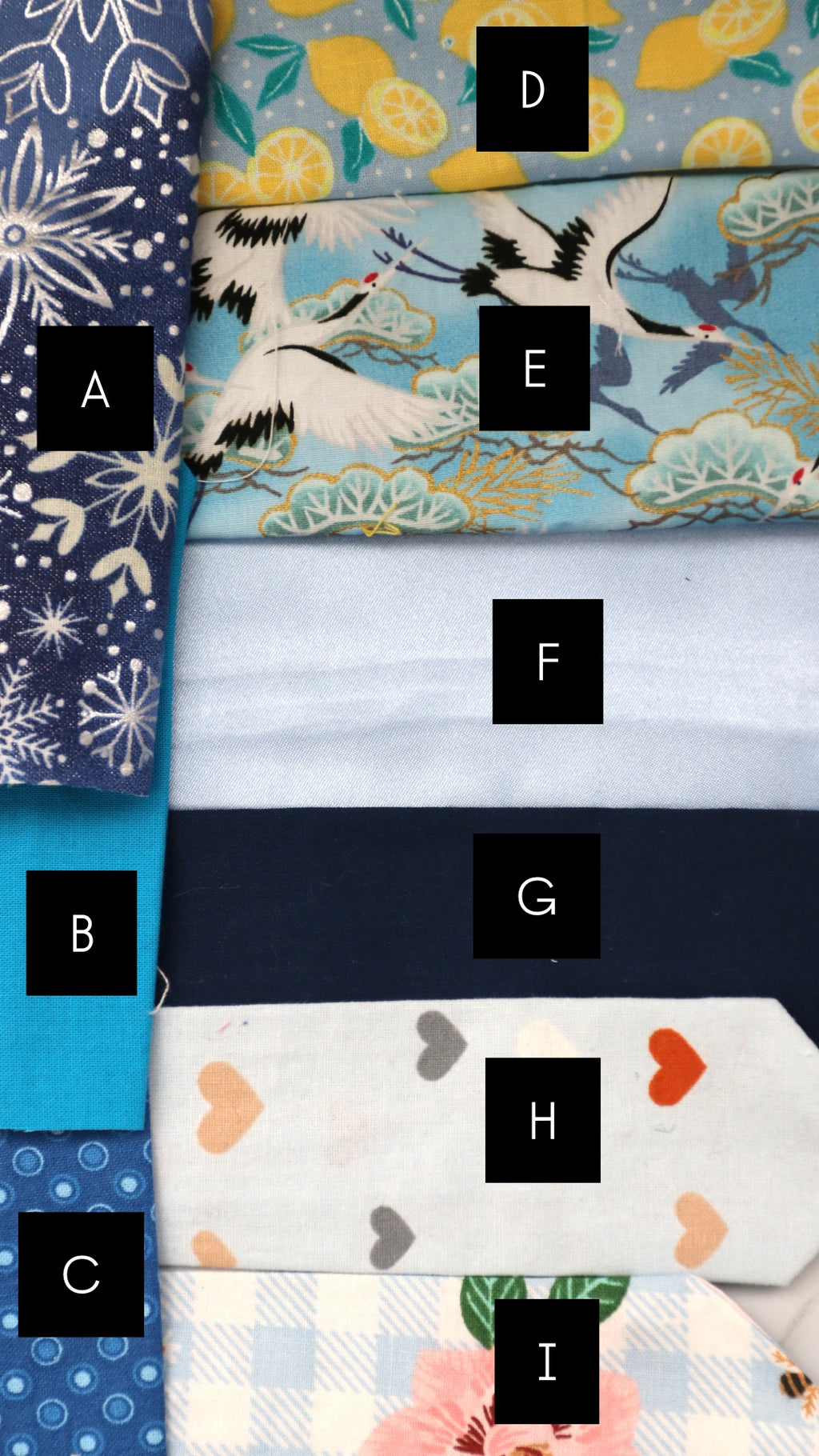 Pet Neck Ties - Blue