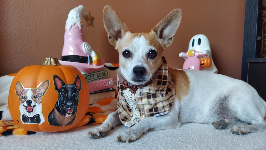 Flannel Tails Dog Bandana
