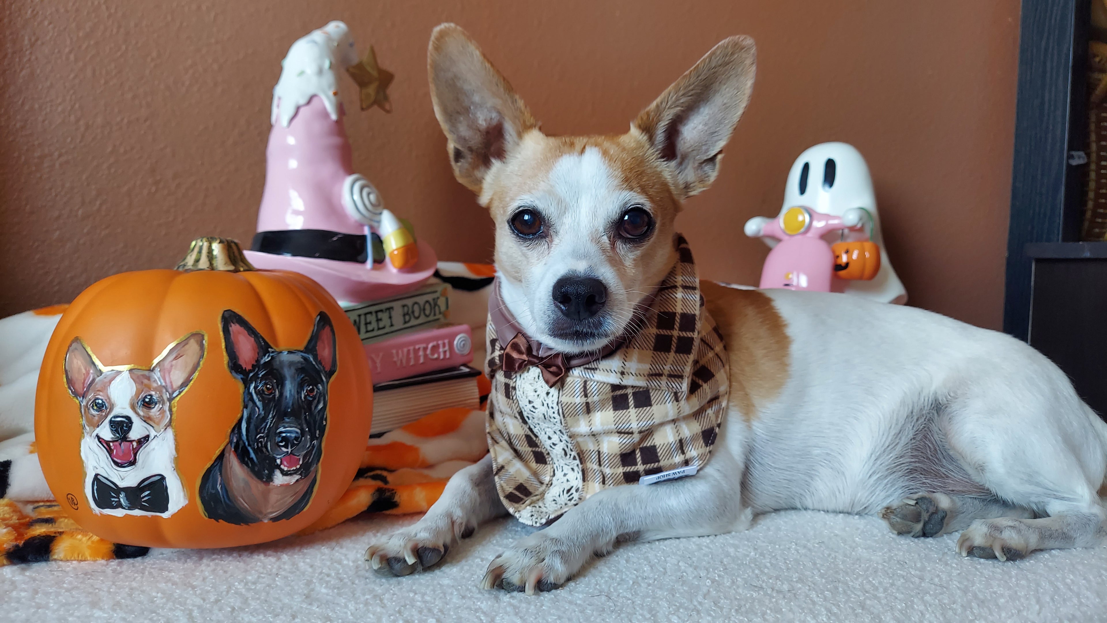 Flannel Tails Dog Bandana