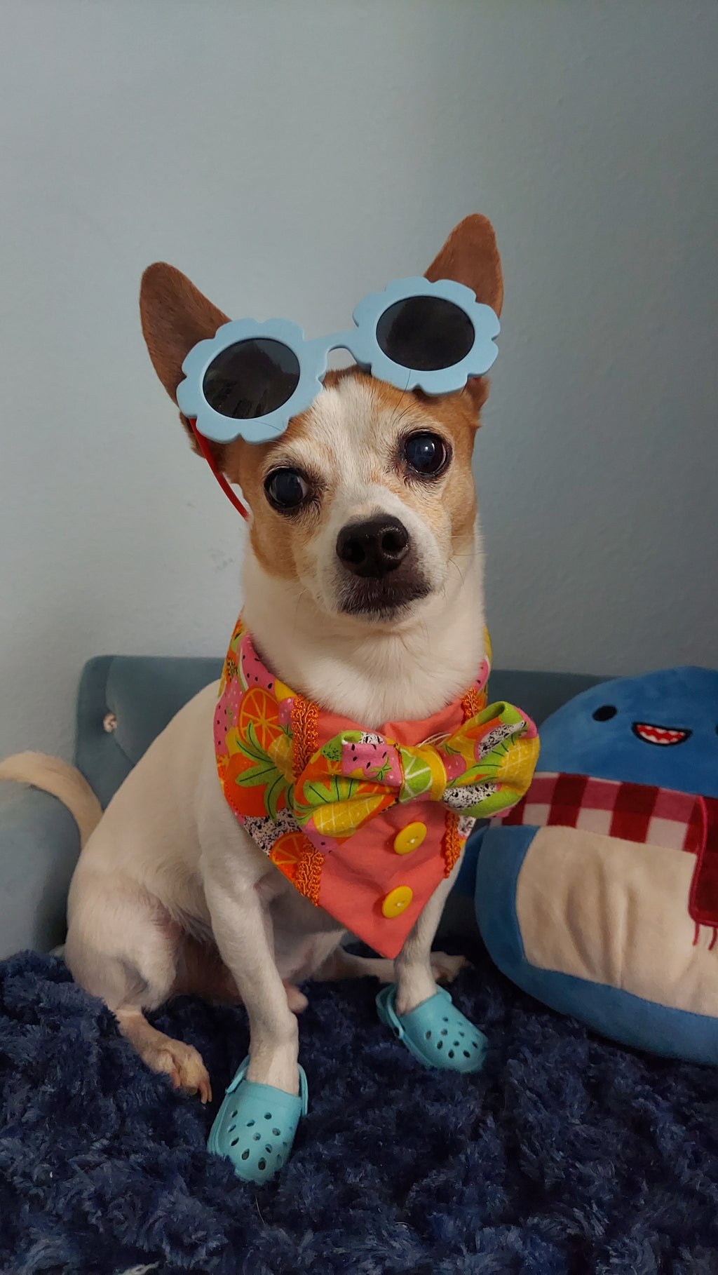 Fruit Frenzy Dog Bandana Tux