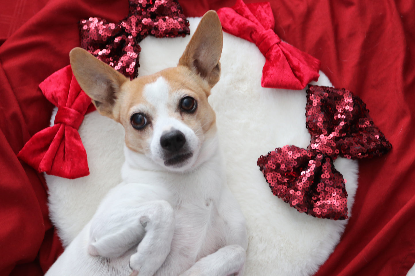 Velvet and Sequin Red Bows