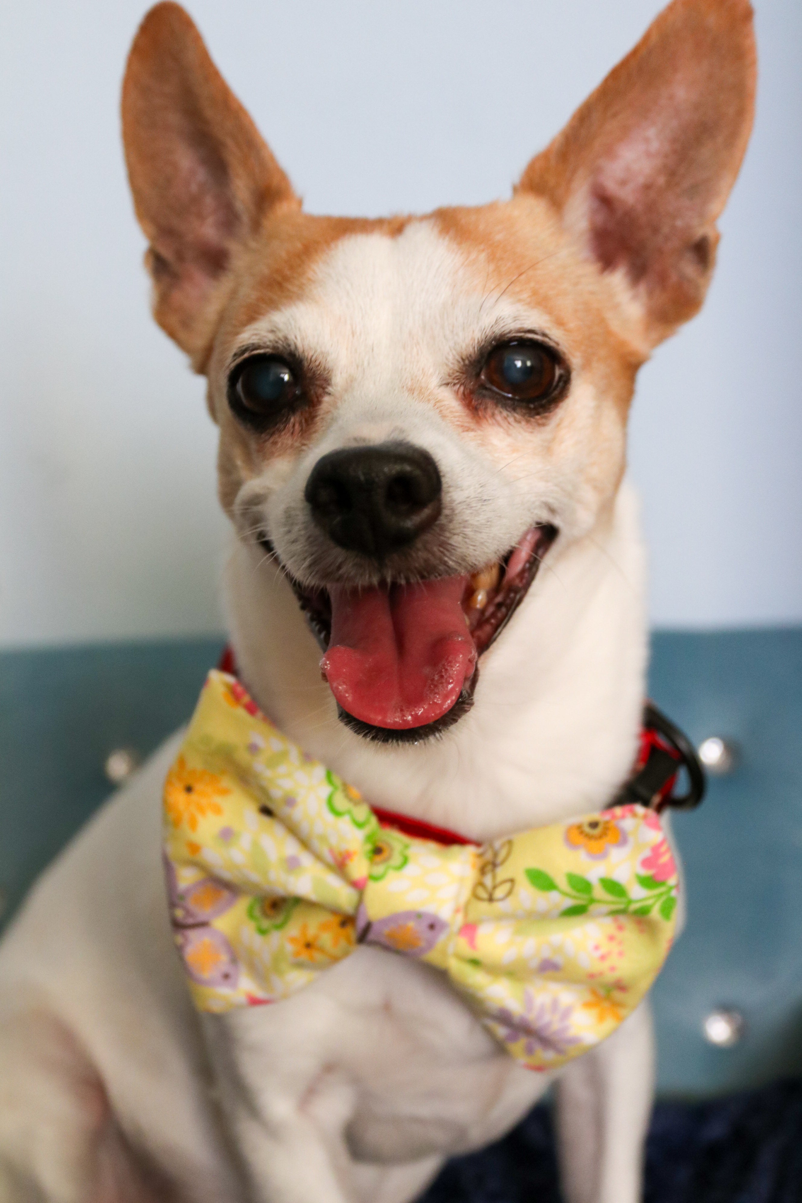 Spring Floral Bow Tie