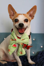 Spring Floral Bow Tie