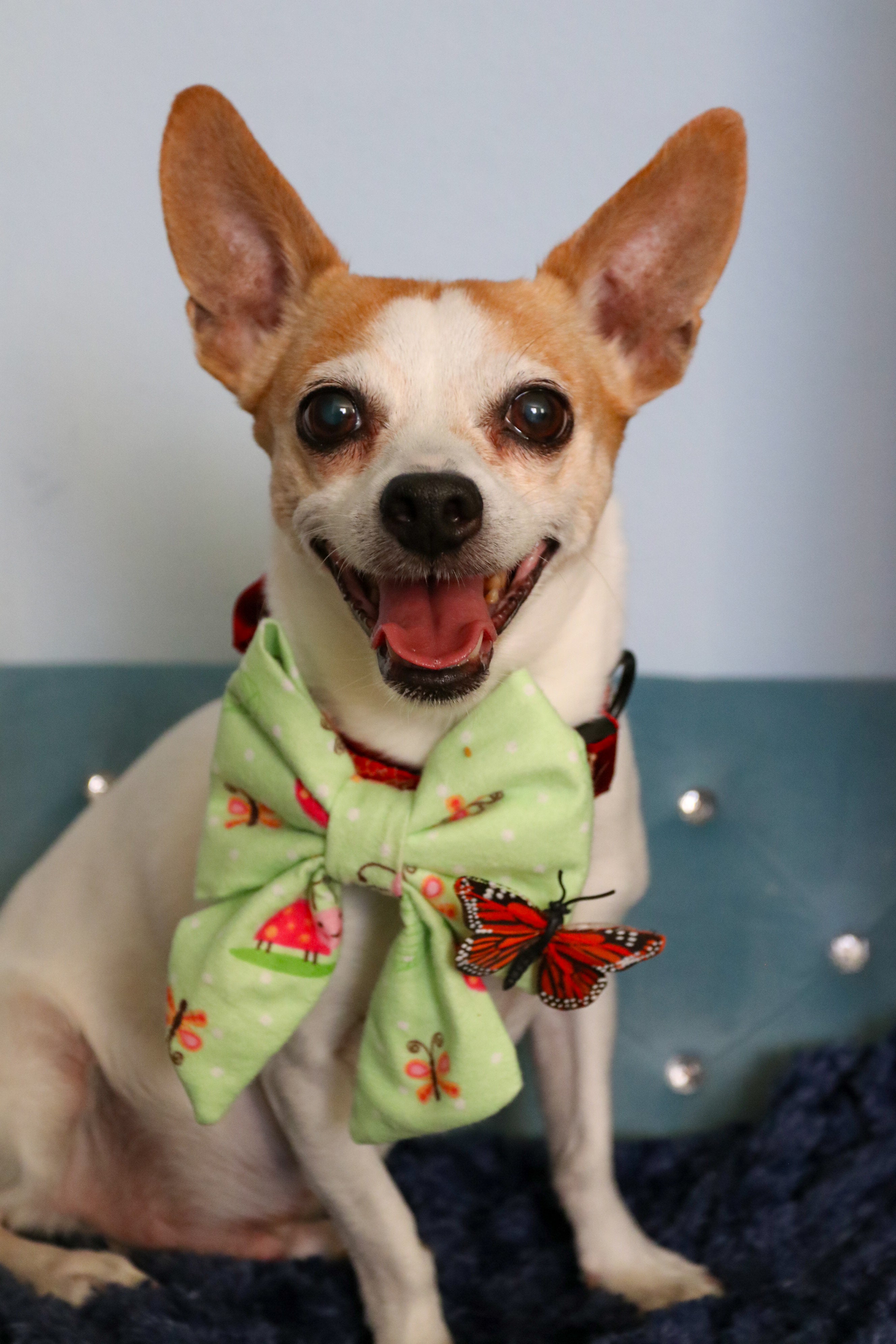 Spring Floral Bow Tie