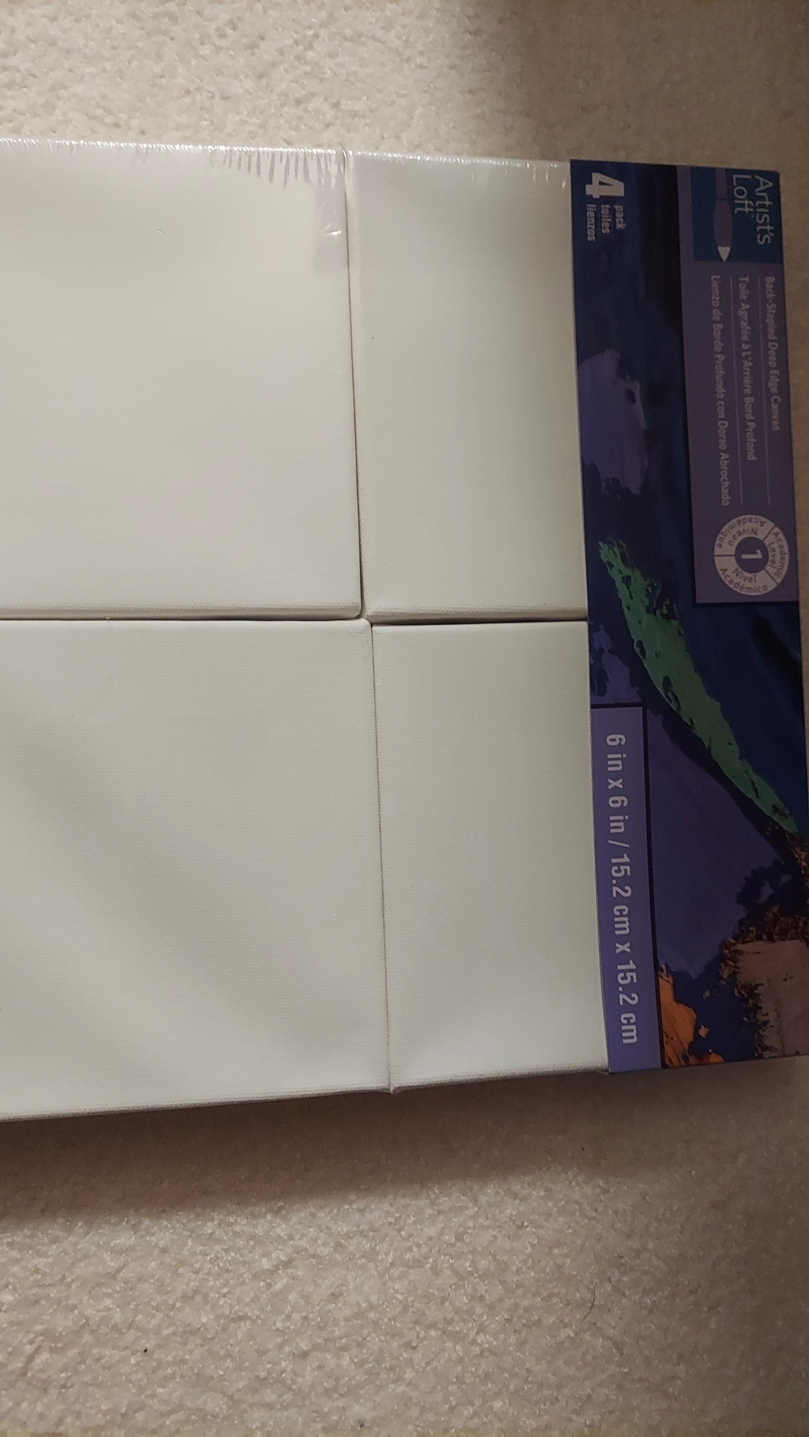 6x6" Pet Painting Canvas