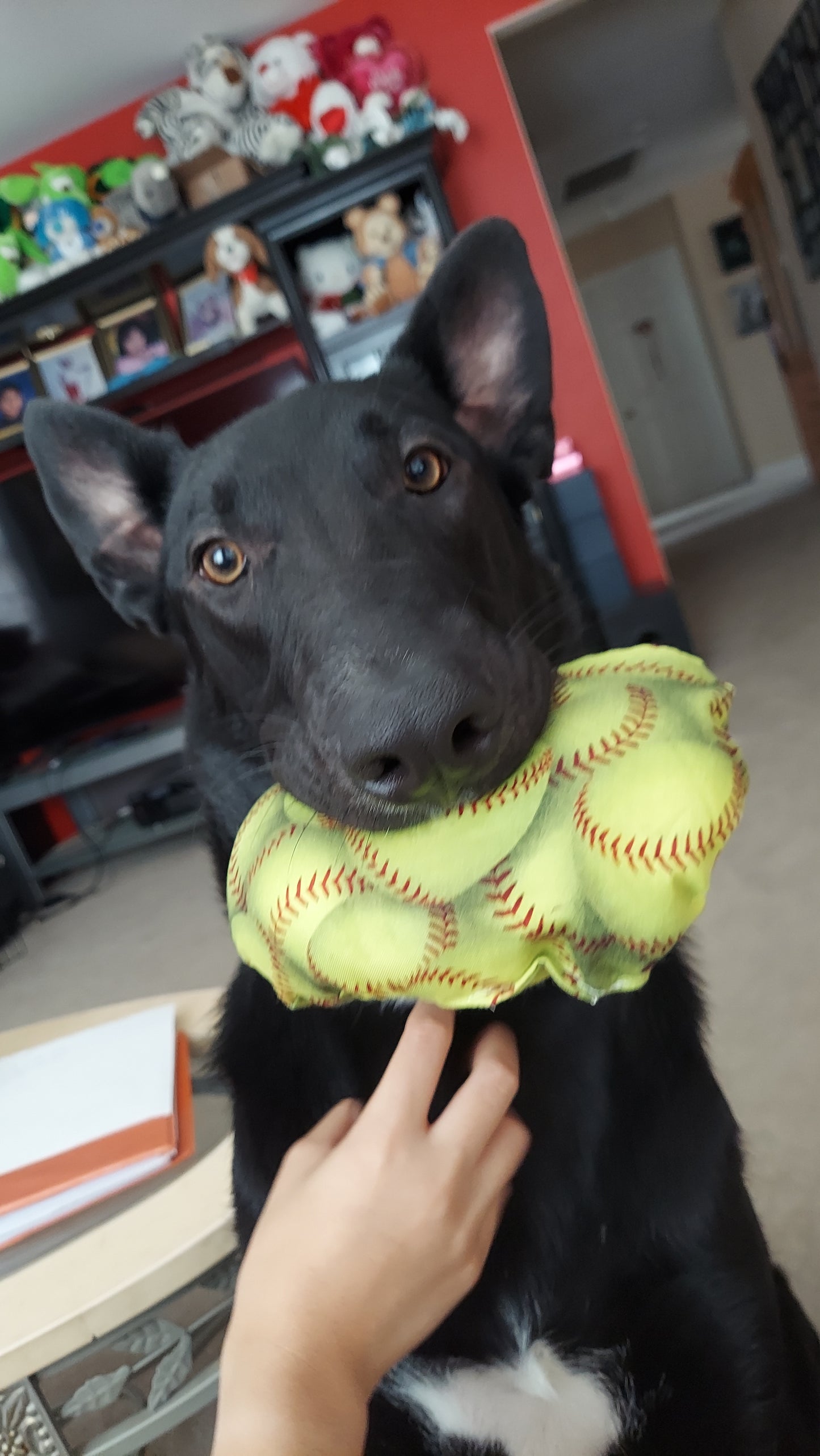 Softball Dog Toy